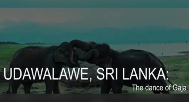 The Dance of Gaja, a documentary by News 1st, showcases Sri Lanka’s potential for tourism
